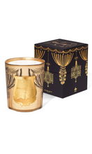 Load image into Gallery viewer, CIRE TRUDON 2024 Holiday Arosa Candle 3kg
