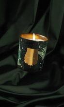Load image into Gallery viewer, CIRE TRUDON 2025 Holiday Fir Candle 270g