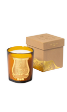 Load image into Gallery viewer, CIRE TRUDON Altaïr Candle