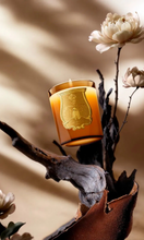 Load image into Gallery viewer, CIRE TRUDON Altaïr Candle