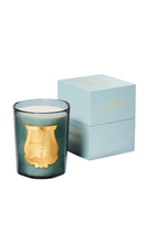 Load image into Gallery viewer, CIRE TRUDON Figuerie Great Candle 3kg
