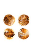 Load image into Gallery viewer, DINOSAUR DESIGNS Boulder Coaster