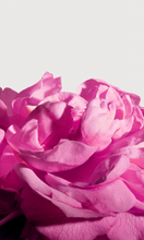 Load image into Gallery viewer, MATIERE PREMIERE Radical Rose Extrait de Parfum 100ml