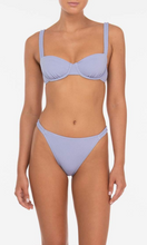 Load image into Gallery viewer, PEONY | Hydrangea Holiday Pant