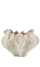 Load image into Gallery viewer, THE FOUNDRY Calyx Vase Creta Rosa