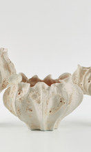 Load image into Gallery viewer, THE FOUNDRY Calyx Vase Creta Rosa