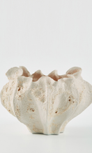Load image into Gallery viewer, THE FOUNDRY Calyx Vase Creta Rosa