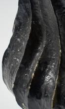 Load image into Gallery viewer, THE FOUNDRY Olivio Vase Noir SAINTE