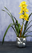 Load image into Gallery viewer, TOM DIXON Cloud Vessel Short