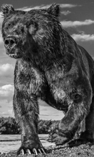 Load image into Gallery viewer, DAVID YARROW | Coffee Table Book