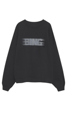 Load image into Gallery viewer, ANINE BING Miles Sweatshirt Blur

