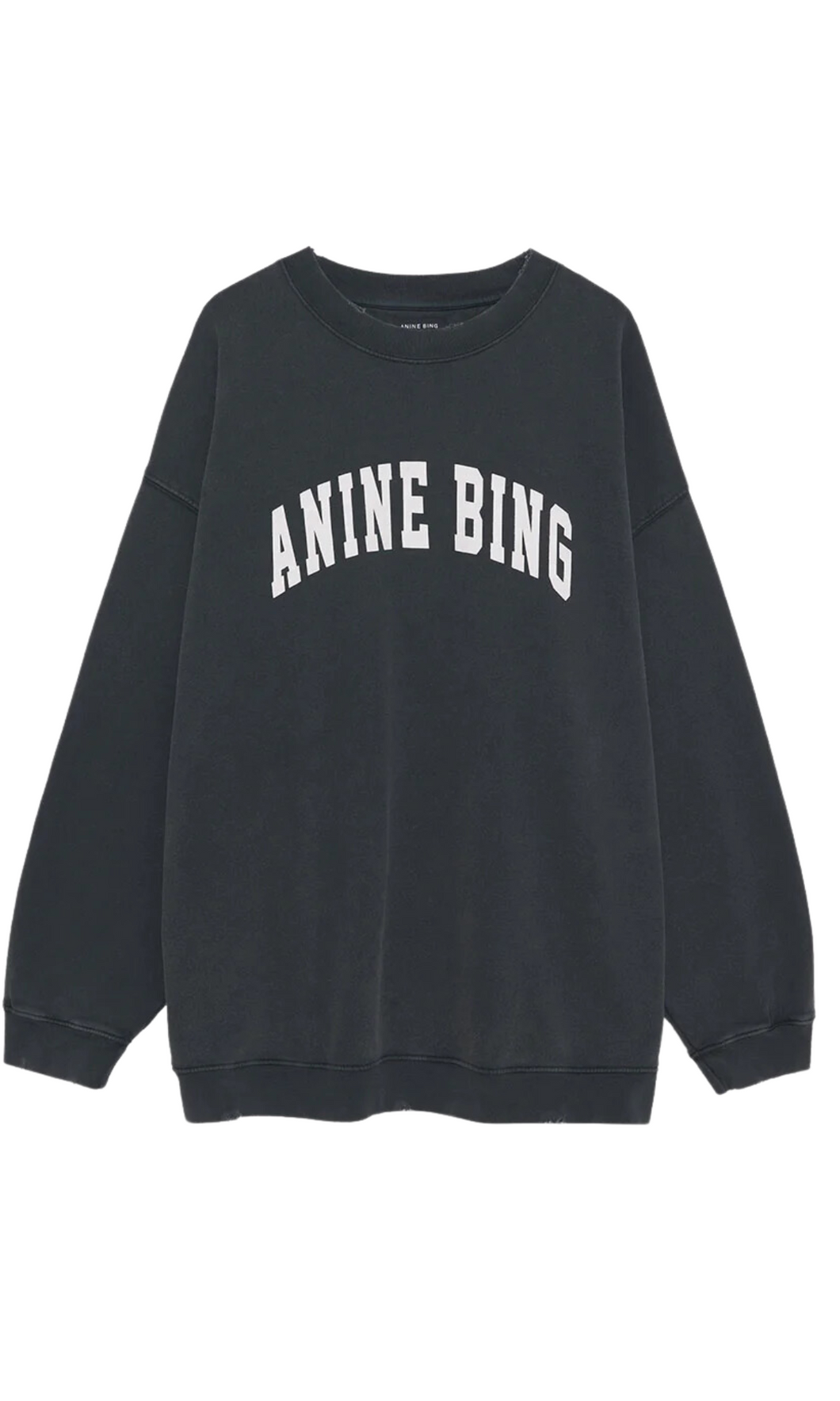 ANINE BING | Tyler Sweatshirt