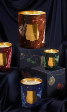 Load image into Gallery viewer, CIRE TRUDON 2025 Holiday Fir Candle 800g
