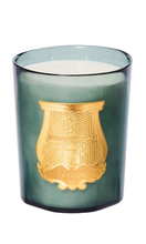 Load image into Gallery viewer, CIRE TRUDON Figuerie Great Candle 3kg
