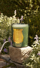 Load image into Gallery viewer, CIRE TRUDON Figuerie Great Candle 3kg
