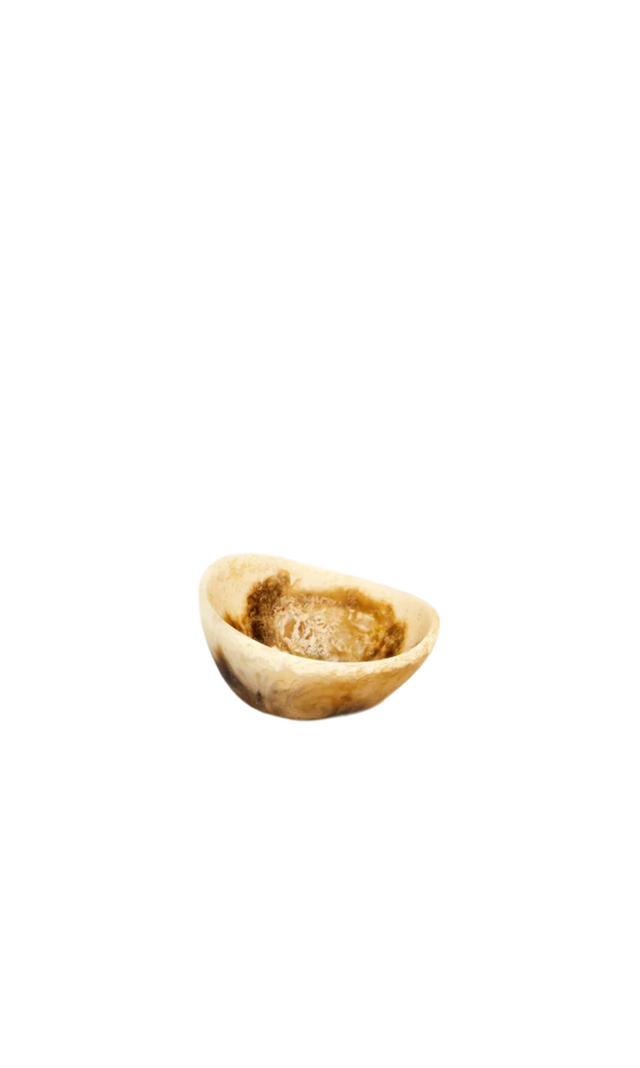 DINOSAUR DESIGNS | Flow Spice Dish – SAINTE The Store