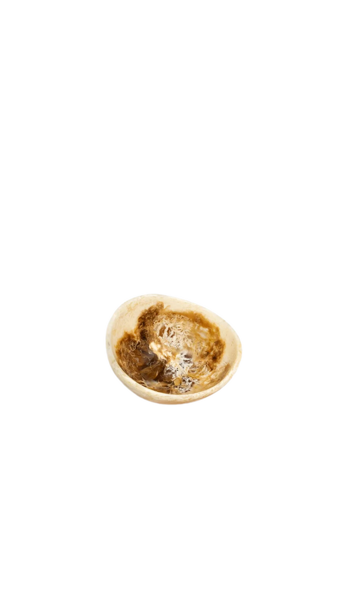 DINOSAUR DESIGNS | Flow Spice Dish – SAINTE The Store