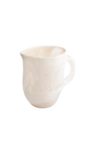 Load image into Gallery viewer, DINOSAUR DESIGNS Large Rock Jug

