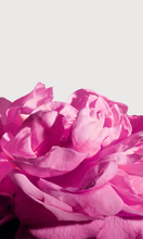 Load image into Gallery viewer, MATIERE PREMIERE Radical Rose Extrait 50ml
