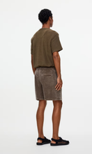 Load image into Gallery viewer, OAS Morel Velour Shorts
