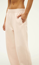Load image into Gallery viewer, P.E. NATION Adventure Trackpant
