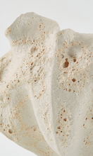 Load image into Gallery viewer, THE FOUNDRY Calyx Vase Creta Rosa
